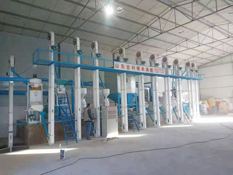 甘肅省張掖市甘州區(qū)黨寨鎮(zhèn)三十里廟NZJ10噸小米成套精加工設備安裝調試完畢